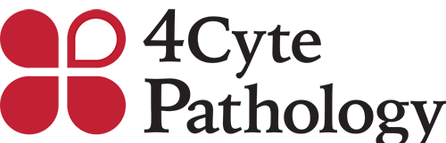 4Cyte Pathology logo diagnostic laboratory medical testing pathology services Australia healthcare branding clinic laboratory network